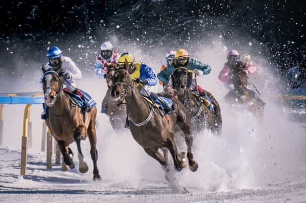 Betting on horse racing: A beginner’s guide to understanding the various types of bets and how to place them